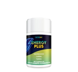 Energy Plus
