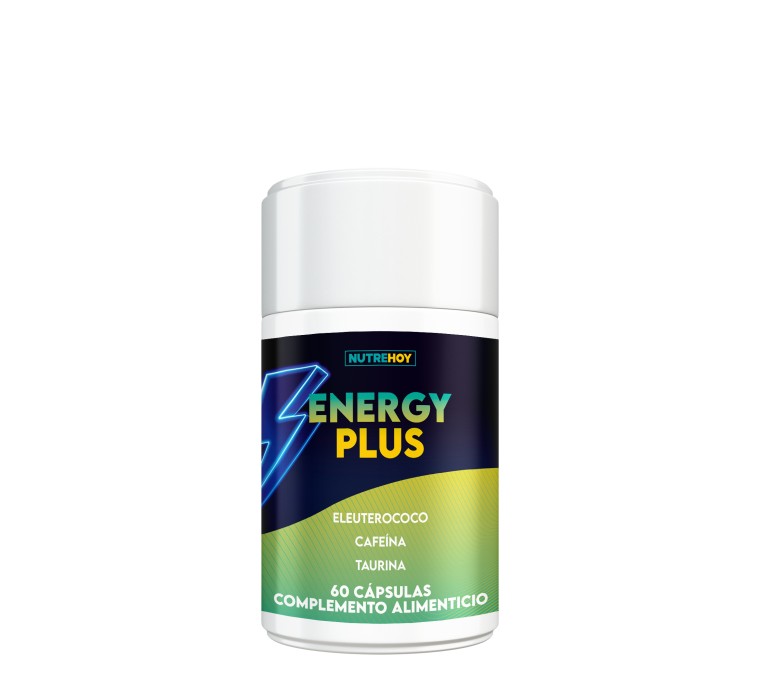 Energy Plus