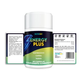 Energy Plus 2