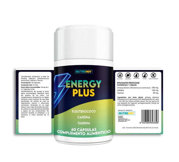 Energy Plus