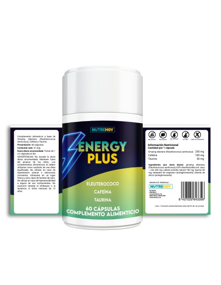 Energy Plus