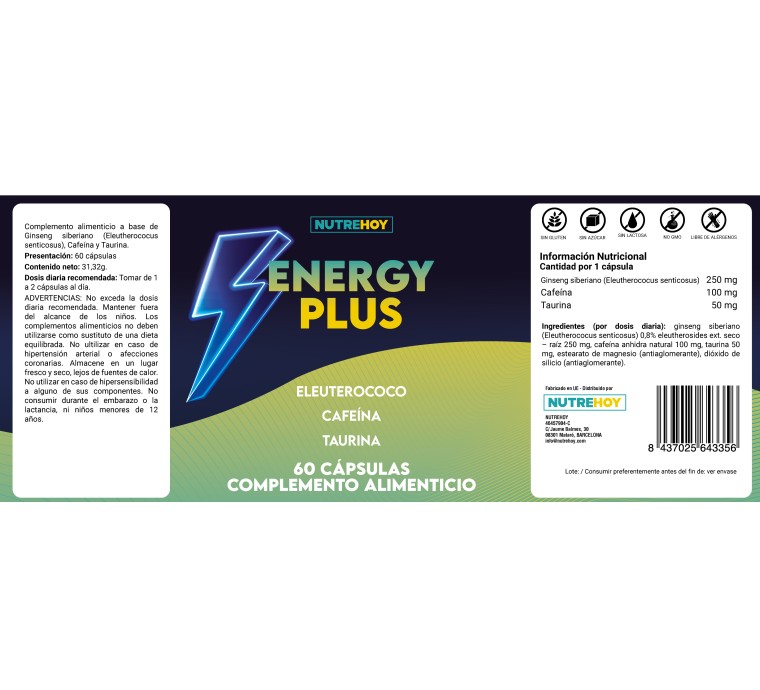 Energy Plus