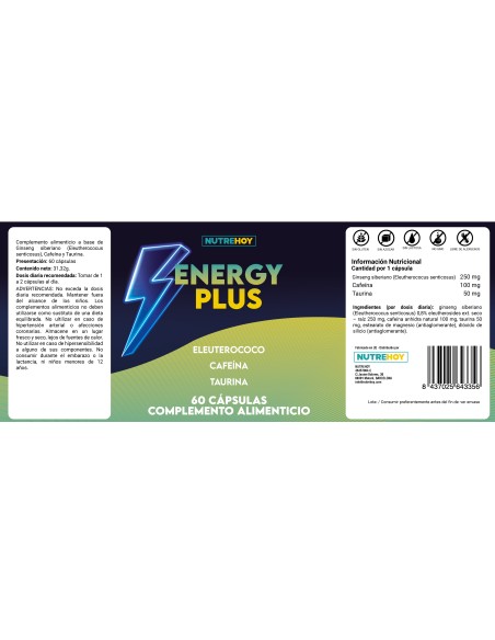 Energy Plus